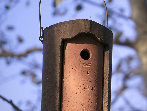 60-birdhouse-5949618_1920