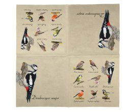 Papírové ubrousky – ilustrace ptáci