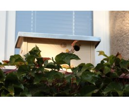 Ptačí budka na okenní parapet ZD - otvor 3,2 cm