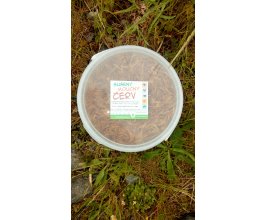 Sušení mouční červi 3l (460g)