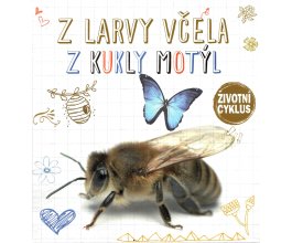 Z larvy včela, z kukly motýl - Životní cyklus