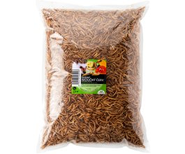 Sušení mouční červi 1 kg