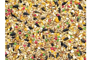 Krmítková směs 10 kg - letní mix