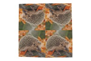 Papírové ubrousky – ježci