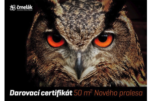 Darovací certifikát Nový prales 50 m2
