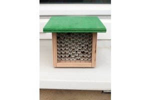Domek na parapet pro včelky samotářky s ochranou - Zelená domácnost