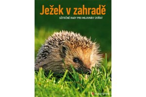 Ježek v zahradě - Užitečné rady pro milovníky zvířat