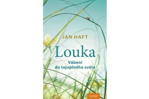 Louka