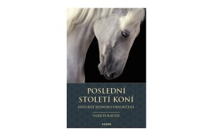 Poslední století koní