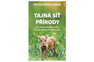 Peter Wohlleben: Tajná síť přírody. Jak stromy vyrábějí mraky a žížaly regulují divoká prasata