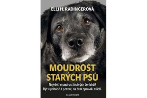 Moudrost starých psů: Největší moudrost šedivých čenichů?
