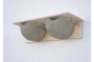 Ptačí hnízda Schwegler 9B jiřičky - dvojité