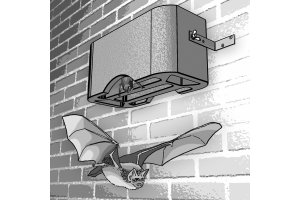 Úkryt pro netopýry 1 GS - do podzemních prostor