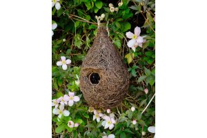 Ptačí budka – Brushwood – otvor 3 cm