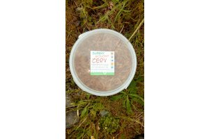 Sušení mouční červi 3l (460g)