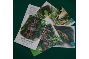Zvířátka české přírody - výukové karty pro děti